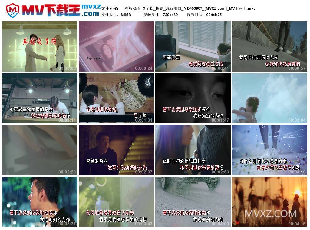 王林辉-痴情受了伤_国语_流行歌曲_MD403907